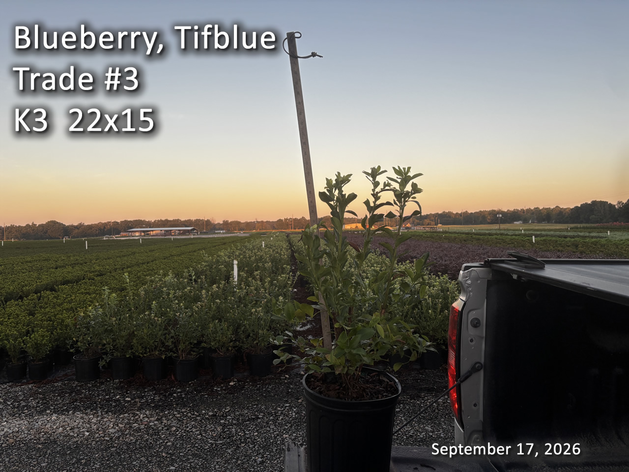 gallery/btb3t k3 sept17.jpg